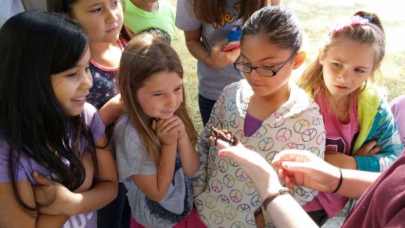 Children looking at an insect being held by a presenter