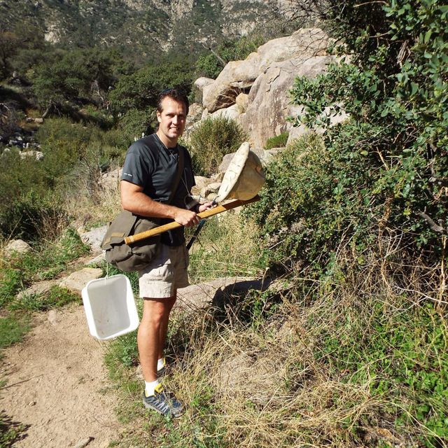 Dr. Scott Bundy collecting insects in the field